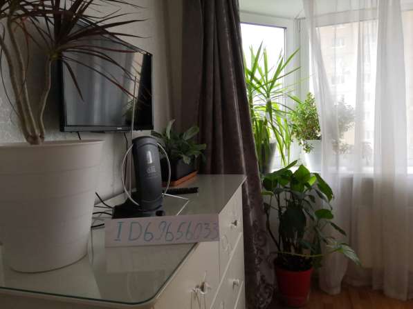 Сдается евродвушка около метро Парнас в Санкт-Петербурге фото 12