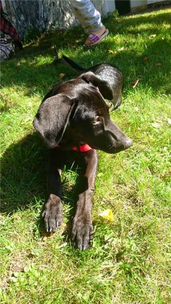 Ангел ищет семью в Москве фото 5