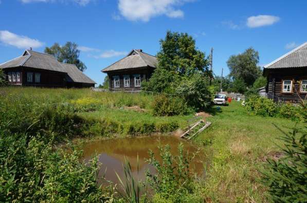 Бревенчатый дом в тихой деревне, рядом с рекой и лесом в Мышкине фото 3
