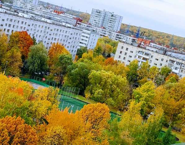 Помощь в сдаче жилья