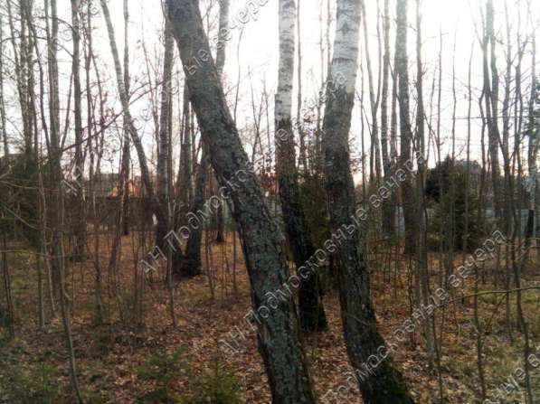 realty_mapper3.plot_in_locationИндивидуальное жилищное ст-во. Площадь 15.00 сот.Есть Электричество. в Москве фото 8