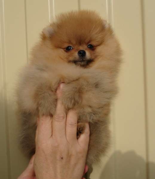 Ищем самые лучшие ручки в Москве