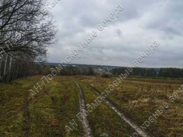 realty_mapper3.plot_in_locationПлощадь 31.00 сот.Есть Электричество, Газ. в Москве фото 11