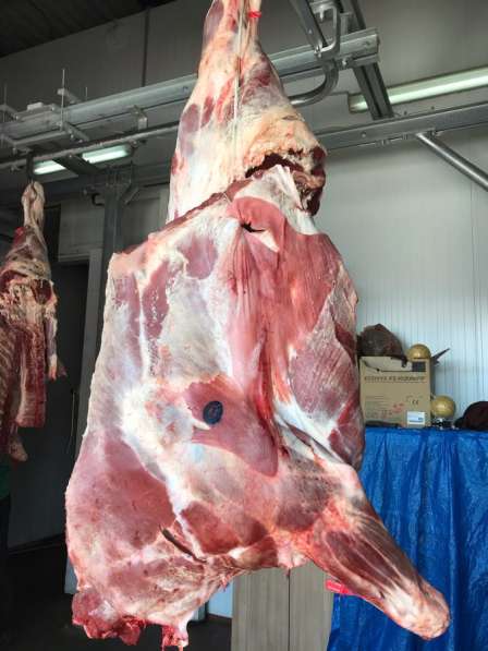 Мясо оптом (свинина/ говядина) в Москве фото 5