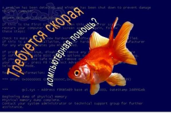 Удаленная компьютерная помощь