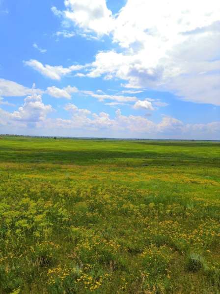 КРАСНОЯАРСКИ КРАИ ЕМЕЛЯАНОВСКИ РАЯОН ПОСЯОЛОК НАНЖУЛ в Красноярске фото 5