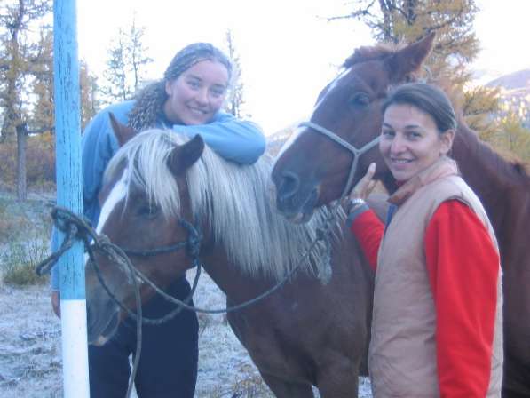 На лошадях к подножию Белухи в Санкт-Петербурге