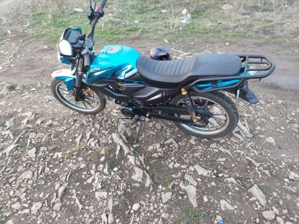 Продам альфу чамп в фото 3