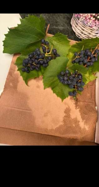 Дача СНТ ФИАЛКА в Омске фото 11