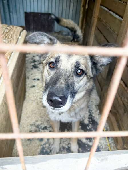 Всю жизнь в приюте