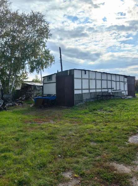 Производственная База 1,1 Га в Красноярске фото 8
