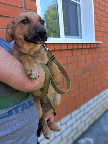 Две девчушки-красотушки и храбрый братик в Москве фото 5