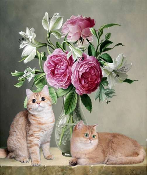 Котята разного возраста и окраса в Москве фото 20