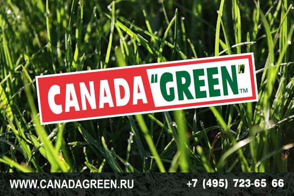 Газон КАНАДА ГРИН в Москве фото 8
