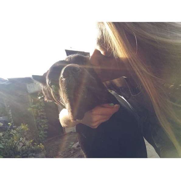 Дрессировка собак в Москве фото 8