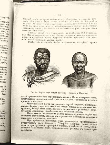 Раритет. Ранке Физические различия человеческих рас 1902 год в Москве фото 9