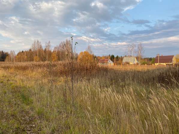 Участок в окружении леса, 15 кВт в Можайске фото 19