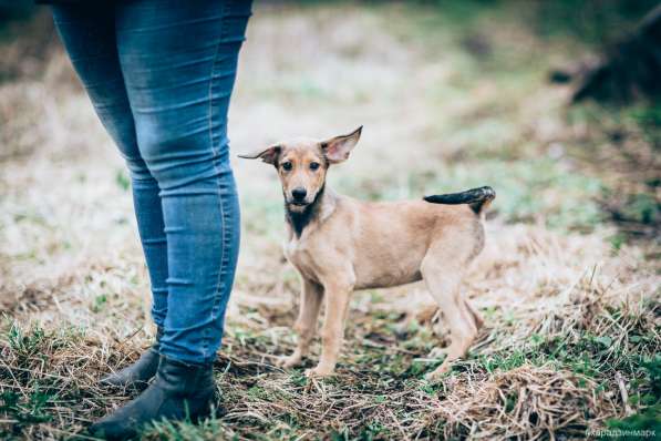 Великолепная Четверка в дар в Москве фото 24