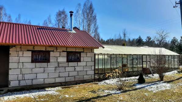 Зимняя дача на берегу живописного озера в Пскове фото 25