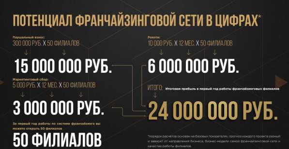 SOLA INVEST. Упаковка франшизы в Тюмени фото 6