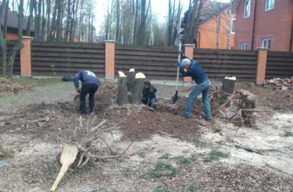 Земляные работы, Благоустройство: Недорого! Воронеж в Воронеже фото 33