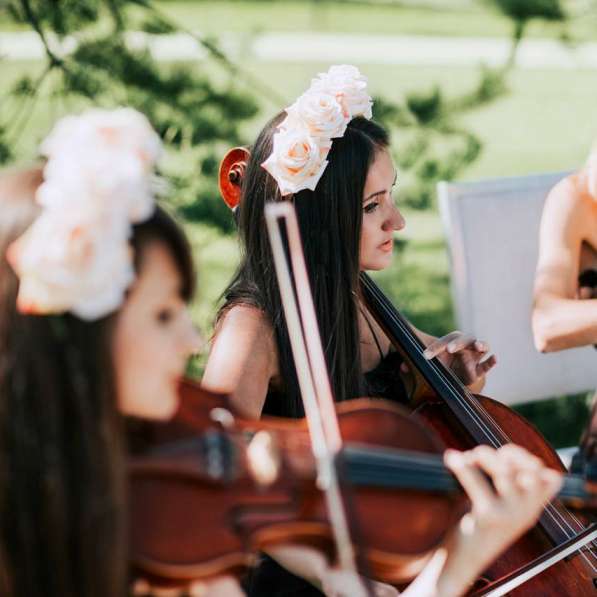 Скрипка на свадьбу - струнное трио, свадебная музыка в Москве