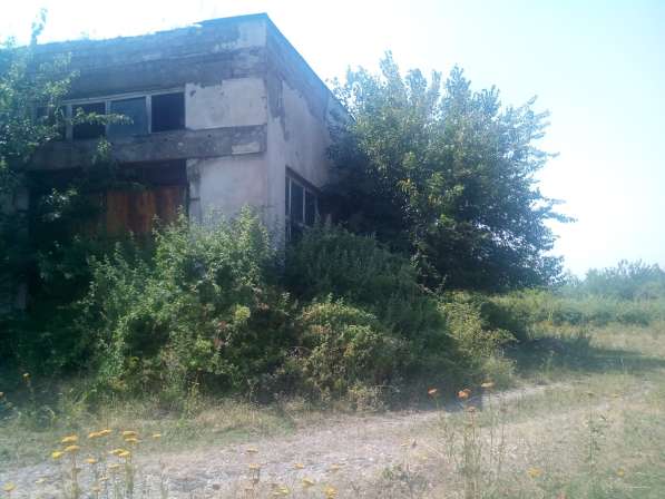 В Грузии, в Телави в фото 14