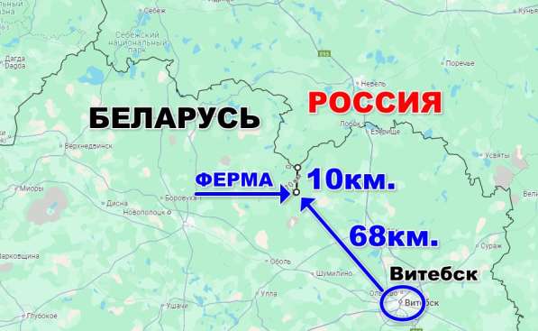 Продам готовый бизнес фермерское хозяйство в фото 5