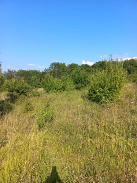 Участок коммерческого назначения 1 га в Севастополе фото 11