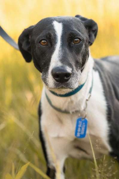 Тихон нуждается в новой истории! в Москве фото 5