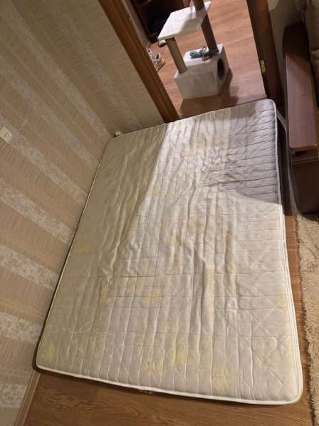 Матрас анатомический Askona пружинный независимый 160x200 в Рязани фото 3