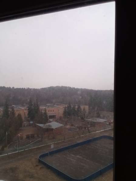 Классная, уютная, толстостенная квартира, био пейзаж в Москве фото 10