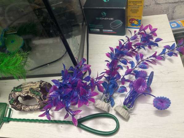 Аквариум 20 литров в Ногинске фото 6