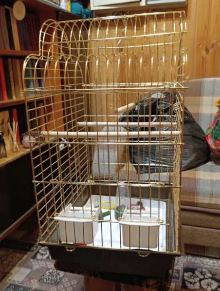 Клетка для средних попугаев