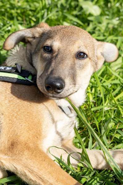 Сироте Марселю нужен дом в Москве фото 7