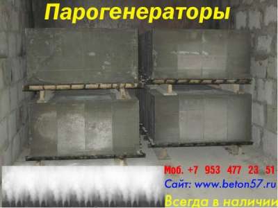 Парогенераторы промышленные в Москве фото 4