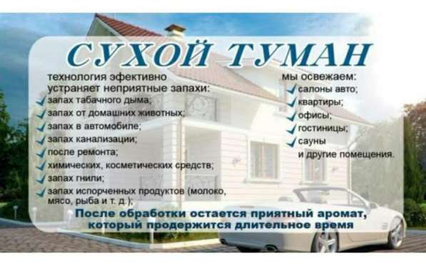 Сухой туман в Костроме в Костроме фото 4