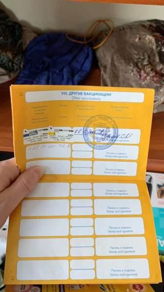 Отдам даром в Мурманске фото 4