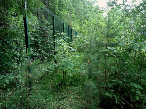 Продаю участок у леса 80 км от МКАД в Боровске фото 4