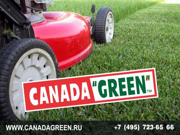 Газонные травосмеси канадагрин в Москве фото 8