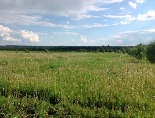Продается земельный участок 15 соток в пос. Дровнино, Можайский район, 147 км от МКАД по Минскому шоссе.