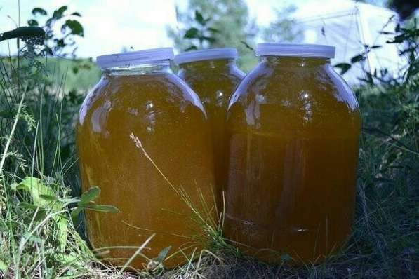 Продам полезный мёд из Кугарчинского района