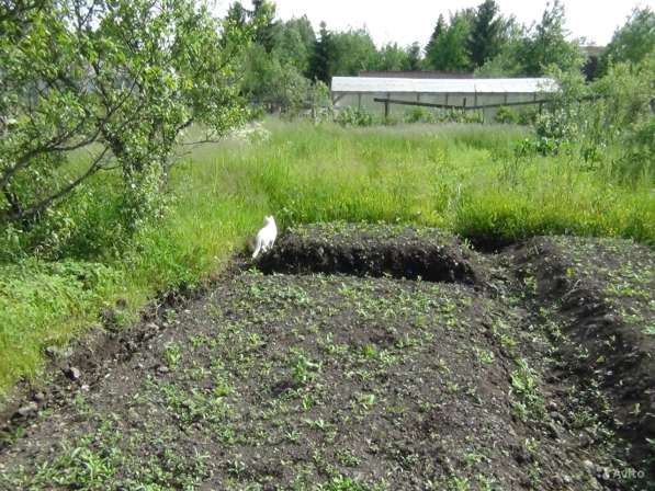 Продам дачу в Санкт-Петербурге фото 17