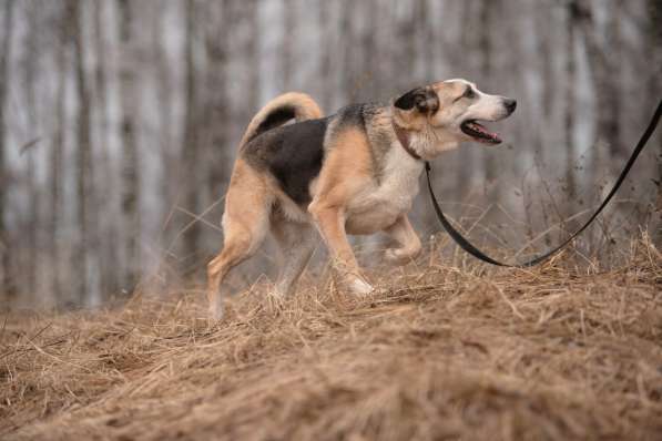 Молодой энергичный Майор ищет семью в Москве фото 47