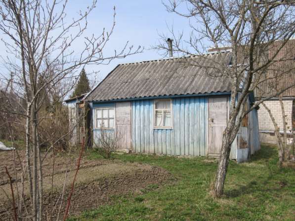 Участок 8 сот. (СНТ, ДНП) в Пскове фото 7