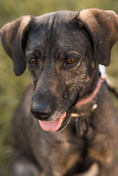 Люся ищет свою вселенную! в Москве фото 5