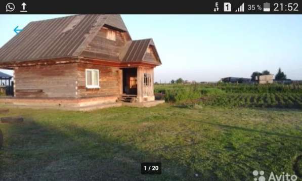 Продам дом с большим участком и постройками, Алтайский край в Воронеже фото 8
