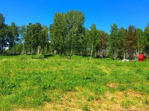 Продам 13 соток вокруг смешанного леса 230 000₽ в Красноярске фото 7