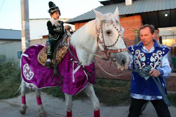 Конь в аренду в Алматы в фото 3