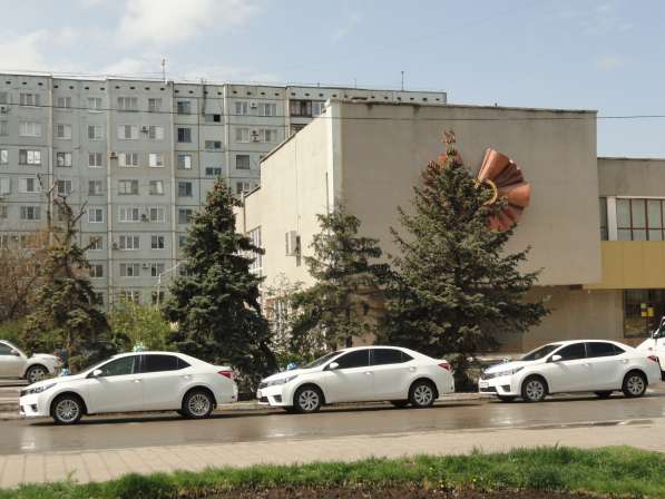 Оформление для свадедного авто кортежа украшение в Волгограде фото 4